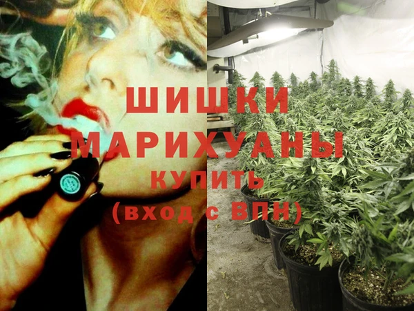 бошки Абаза
