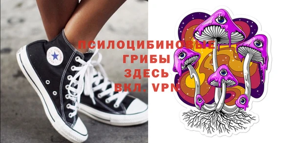 сатива Надым