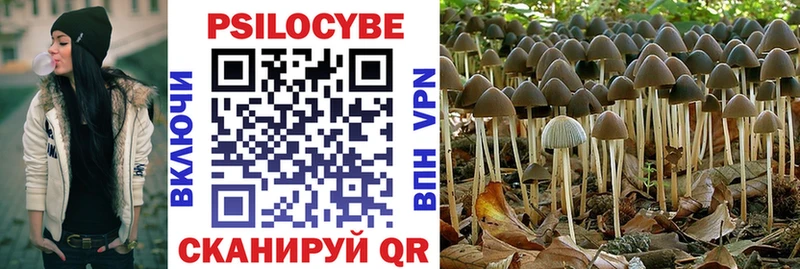 наркошоп  Октябрьский  Псилоцибиновые грибы MAGIC MUSHROOMS 