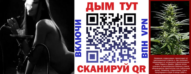 Бошки марихуана THC 21%  как найти   блэк спрут зеркало  Октябрьский 